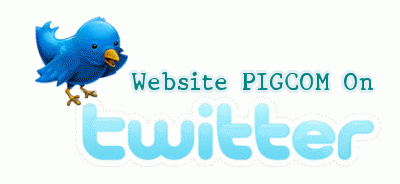 Website PIGCOM On Twitter