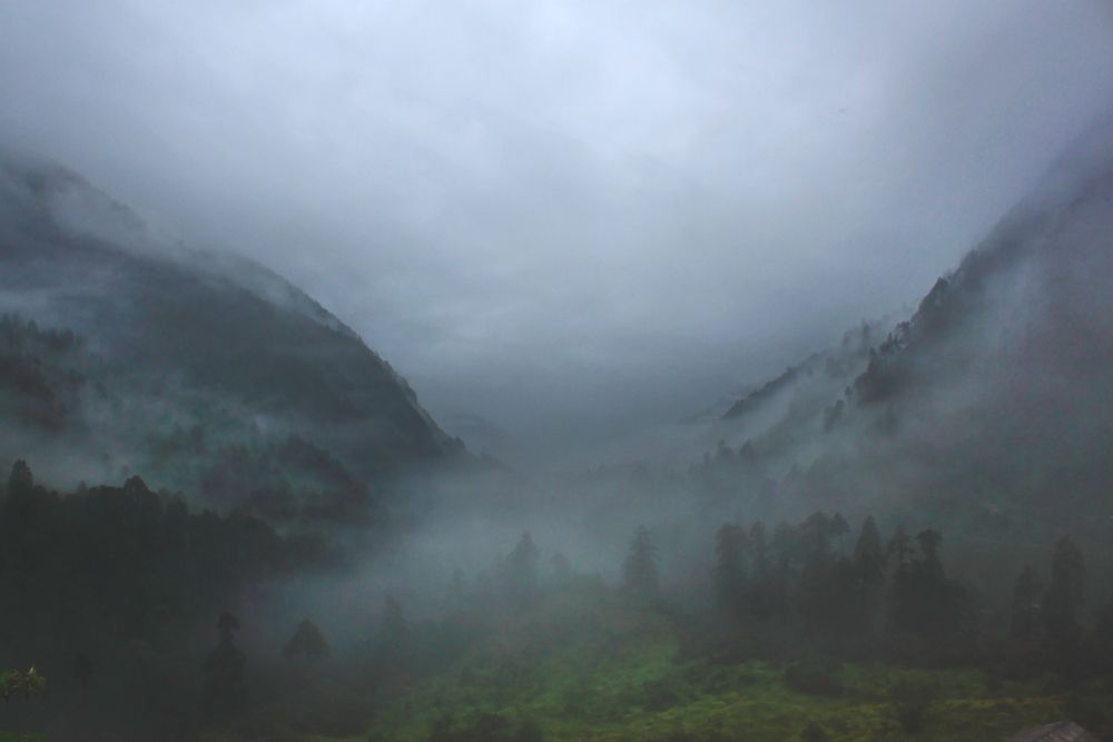 Mist covers the Valley, North Sikkim Mist covers the Valley, North Sikkim