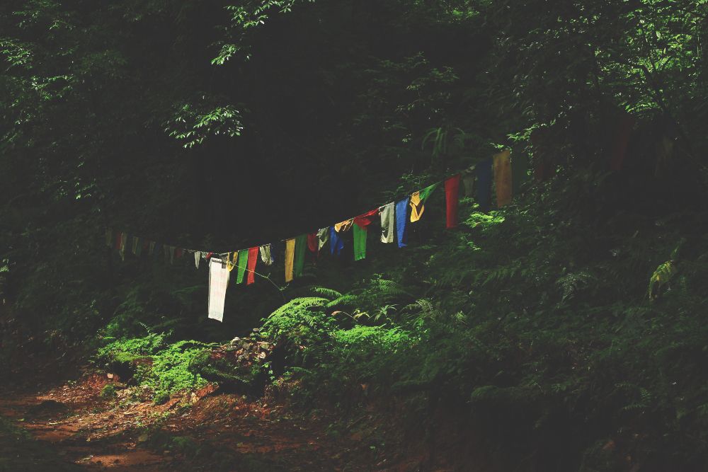 Prayer flags on the way to Khecheopalri Lake Prayer flags on the way to Khecheopalri Lake