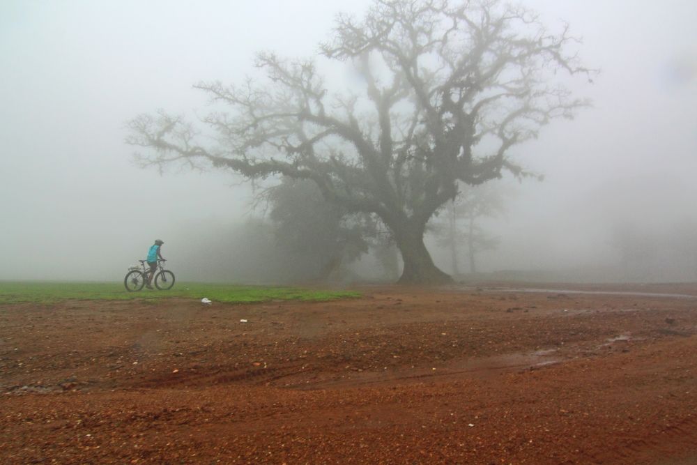 Cycling in Madikeri Cycling in Madikeri