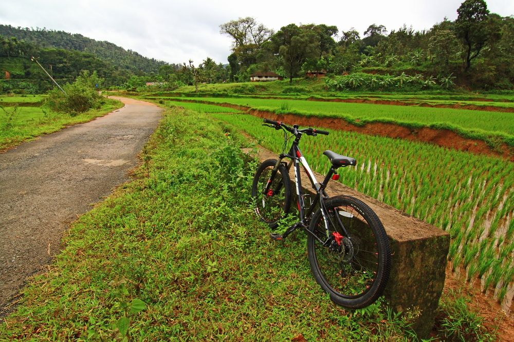 Green fields, Madikeri Green fields, Madikeri