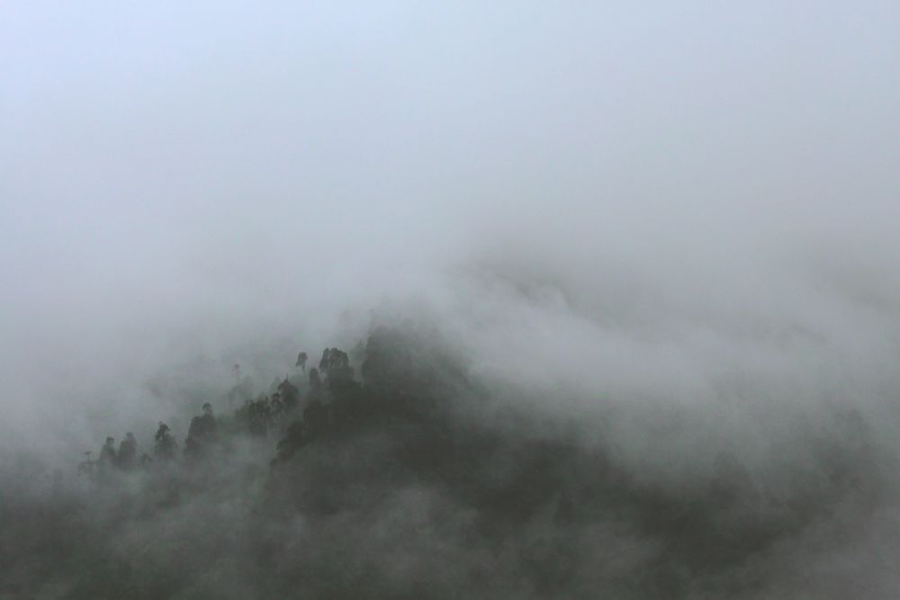 Evening mist engulfs all, near Lachung Evening mist engulfs all