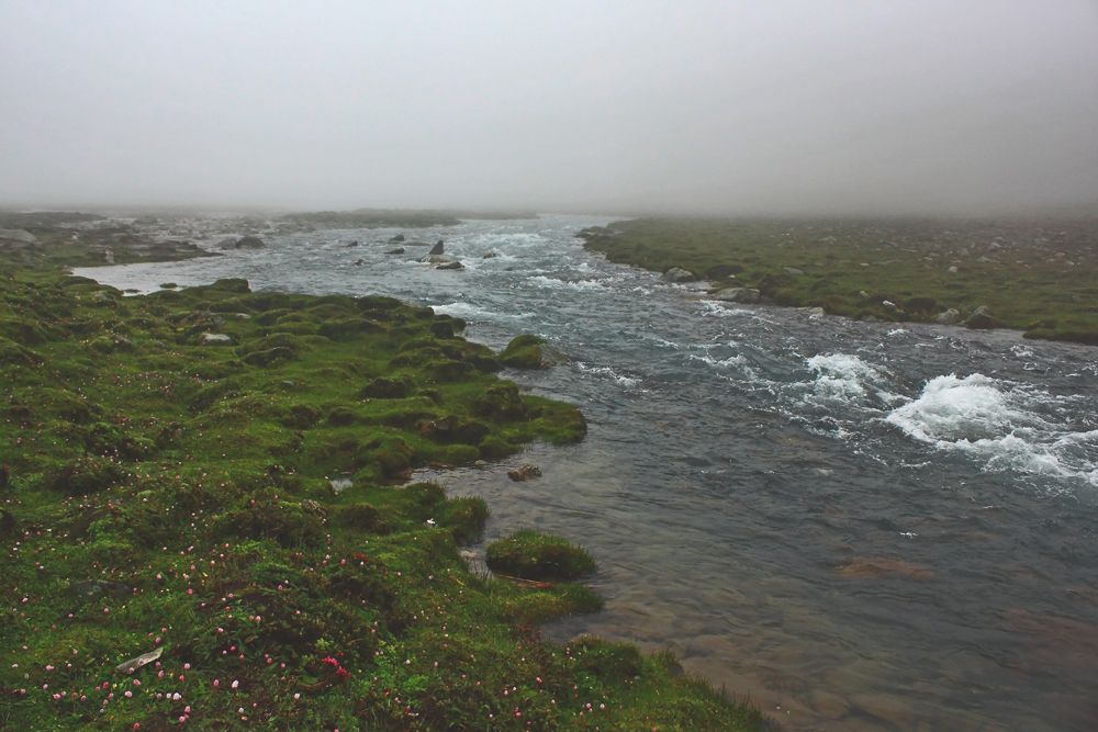 Glacial stream flows at Zero Point Zero Point covered in mist