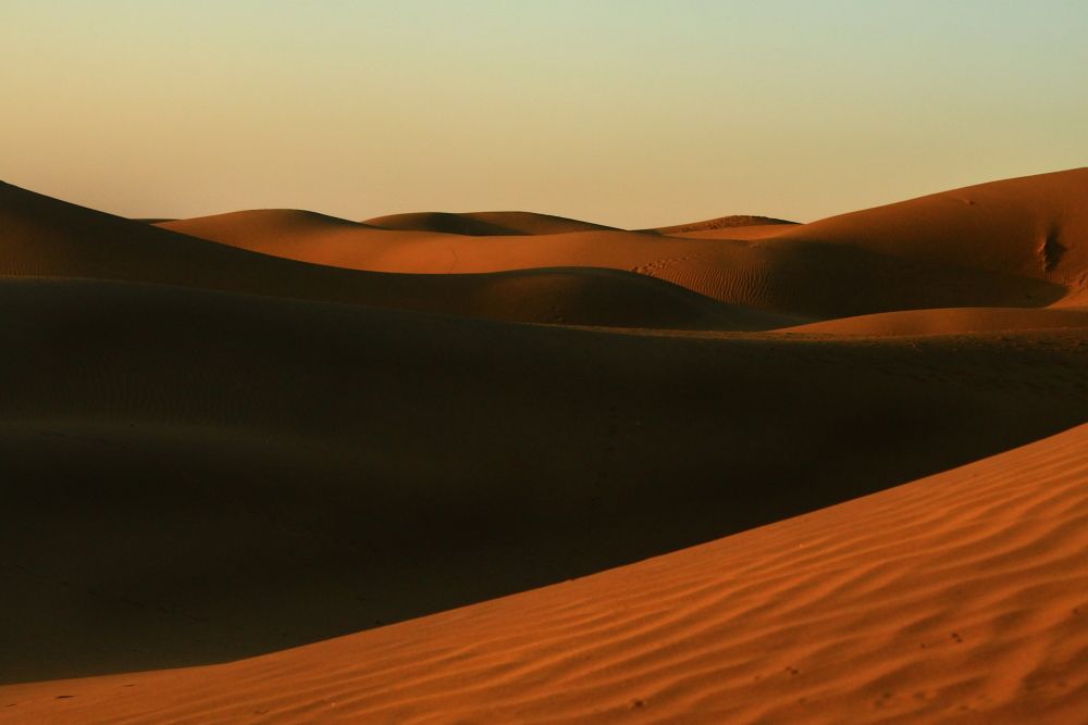 Sand dunes, Rajasthan