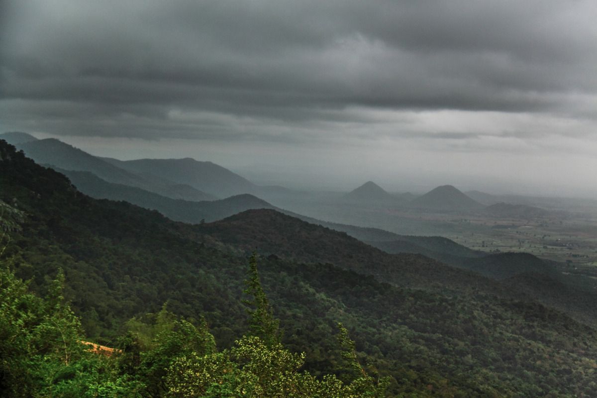 BR Hills, KGudi, Karnataka #30DaysofAnotherIndia BR Hills, KGudi, Karnataka