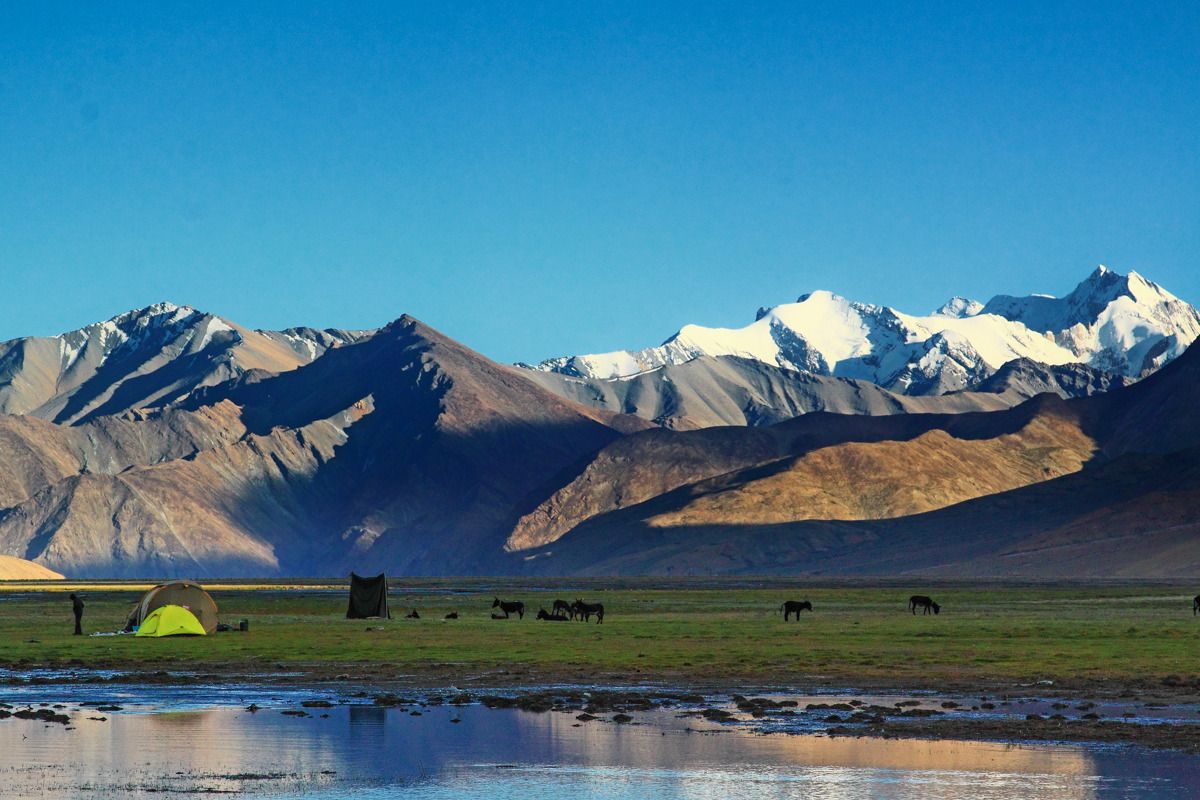 Kiangdom, Tso Moriri, Ladakh #30DaysofAnotherIndia Kiangdom, Tso Moriri, Ladakh