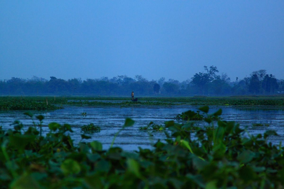 Maguri Beel, Dibru Saikhowa National Park #30DaysofAnotherIndia Maguri Beel, Dibru Saikhowa National Park