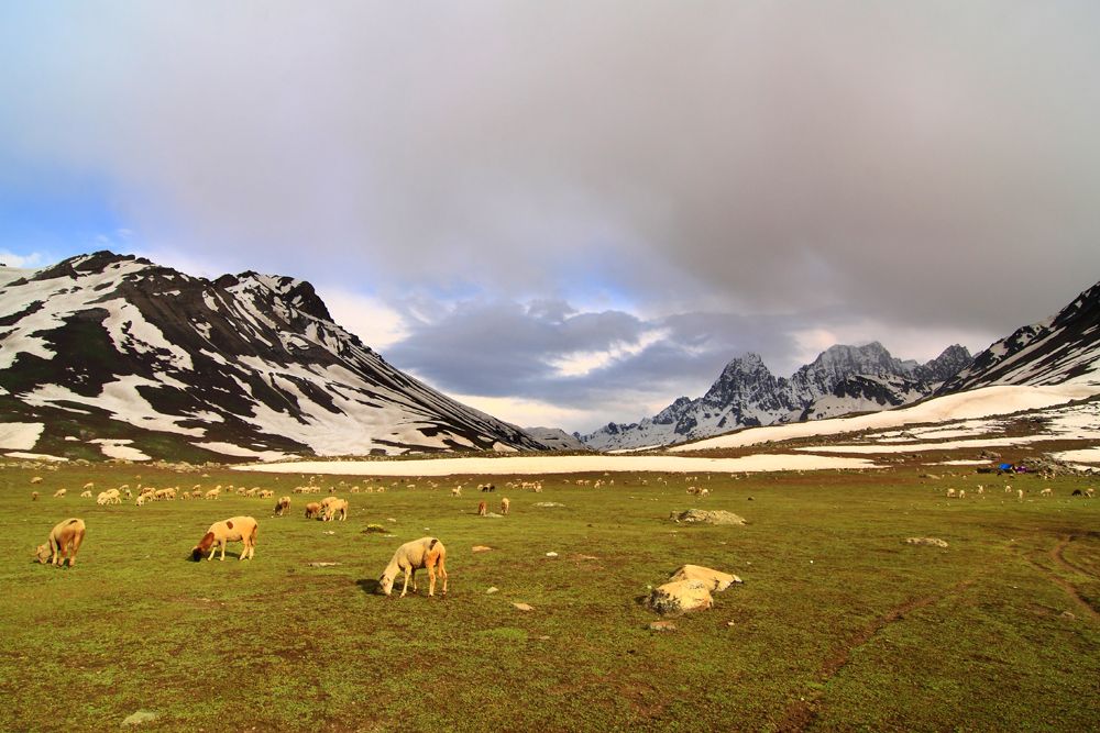 Alpine scenery of Kashmir Alpine scenery of Kashmir