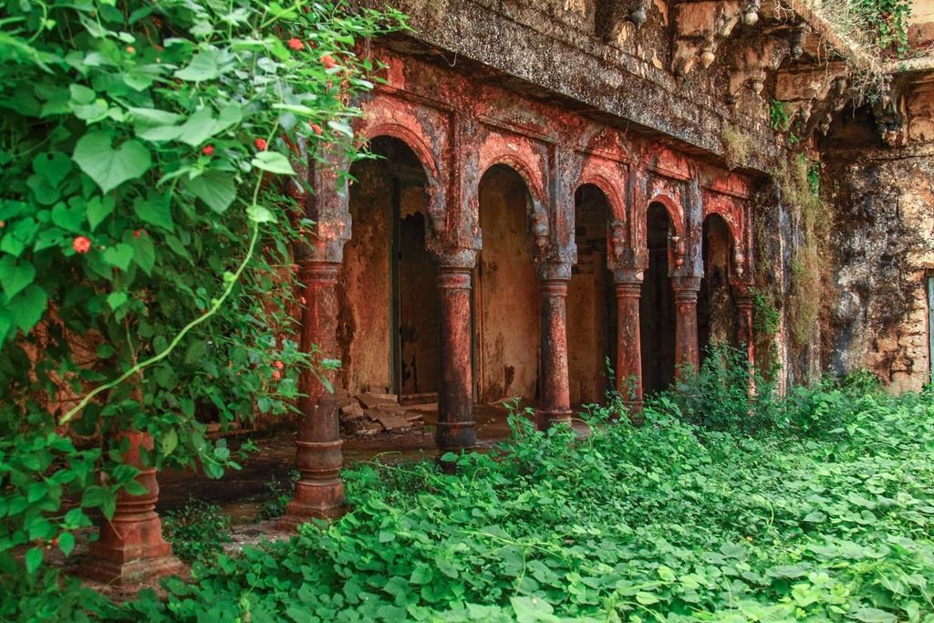 Courtyard overgrown with bushes Govindgarh Palace in summer capital of Rewa