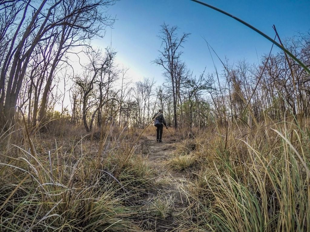 Walking Safari inside the core area of Satpura National Park Walking Safari inside the core area of Satpura National Park