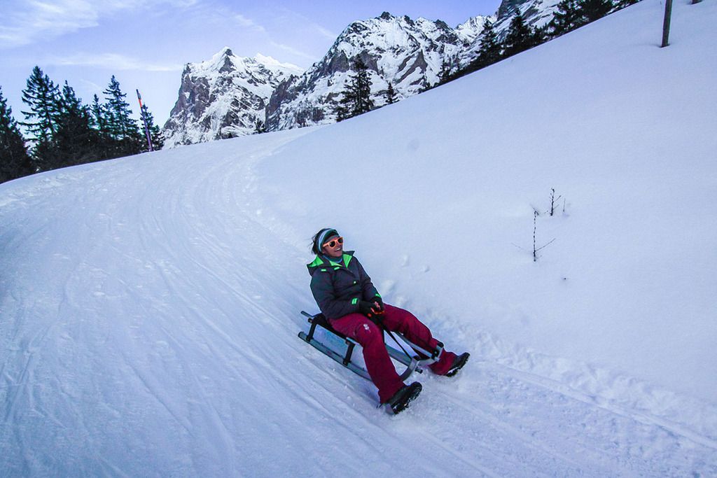 Sledding on the Eiger Run, Grindelwald Sledding on the Eiger Run, Grindelwald