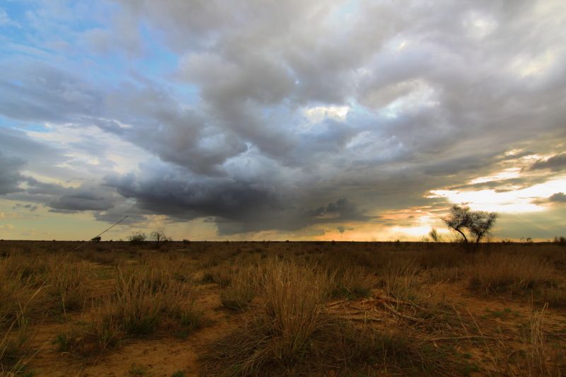Desert Monsoon Rajasthan Jaisalmer