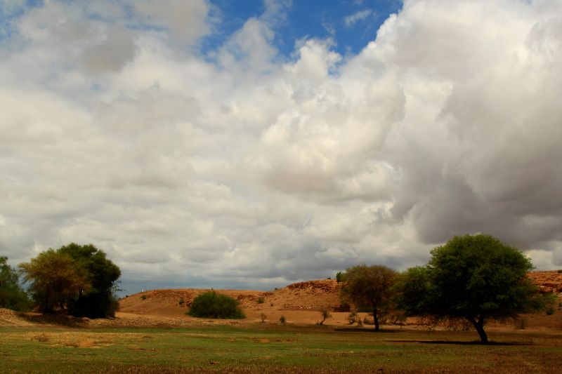 Desert Monsoon Rajasthan Jaisalmer