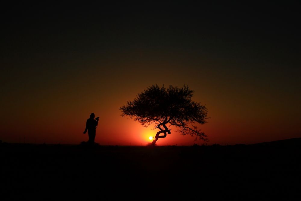Sunrise in the Desert, Rajasthan