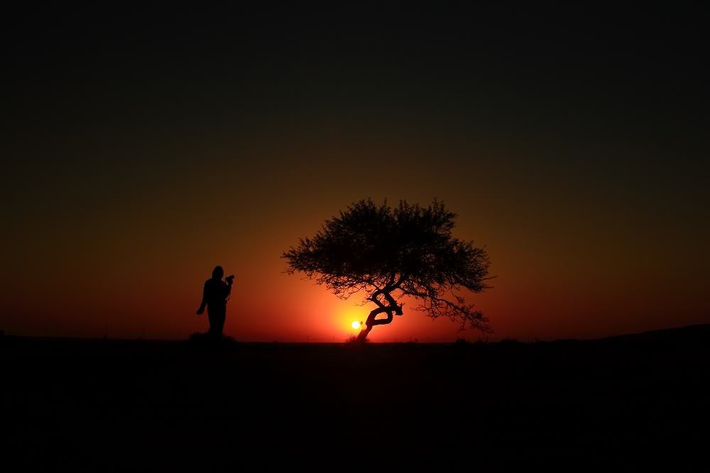 Desert Sunrise