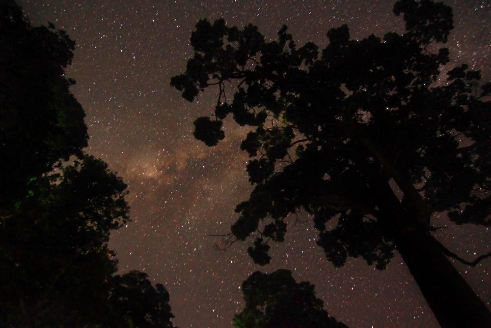 Milkyway Galaxy Milkyway Galaxy
