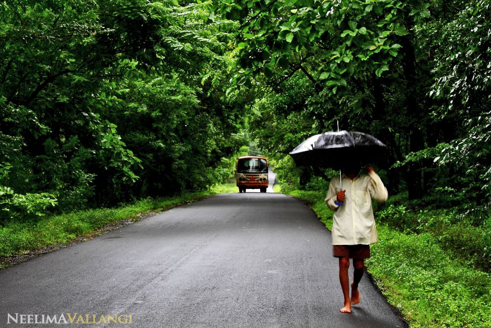 Goa in Monsoons