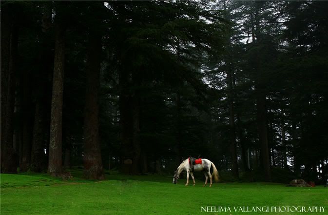 Khajjiar