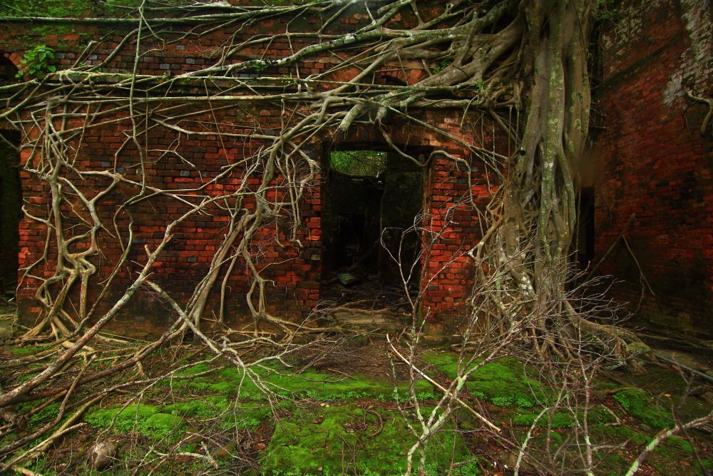 Ruins in the Ghost Town of Ross Island