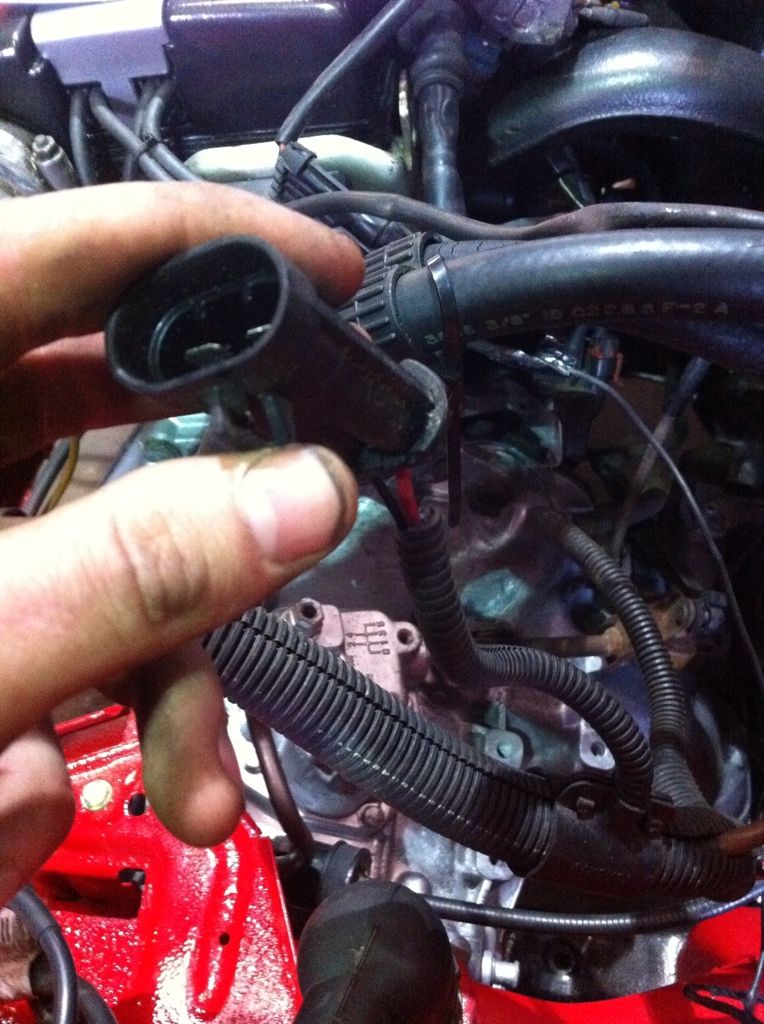 Who's good with C20xe wiring? Help needed.