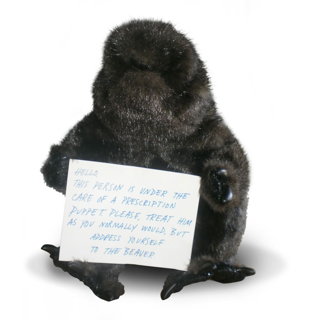 A Dam Fine Puppet