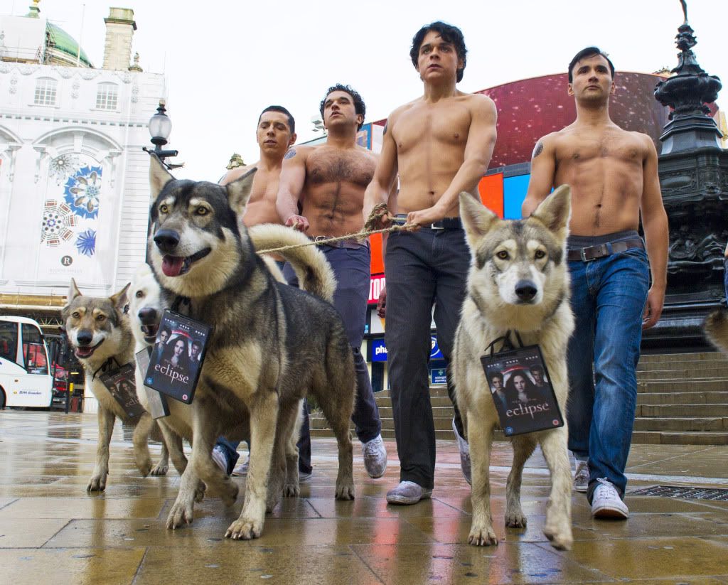 Taking The Wolf To Your Door