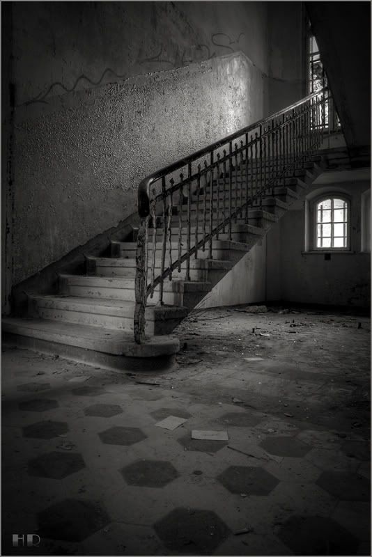 Fotografie