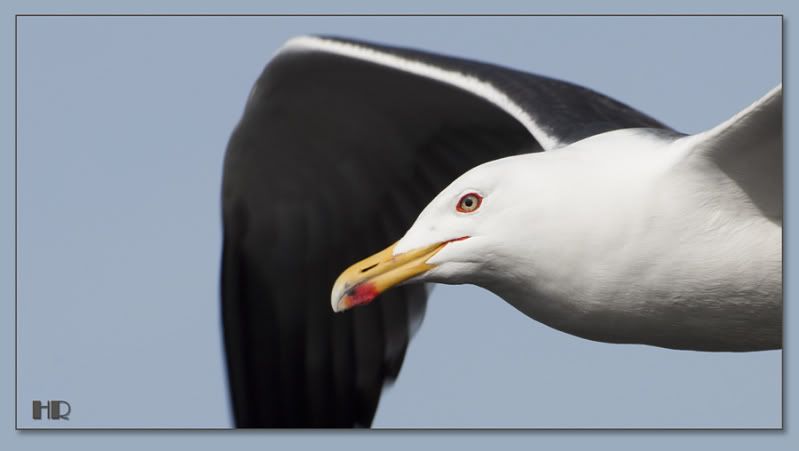 Fotografie