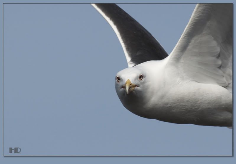 Fotografie