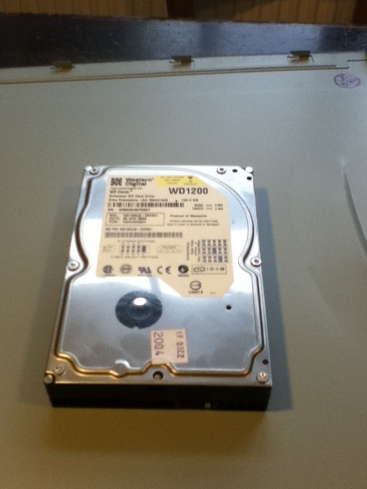 50989457.jpg