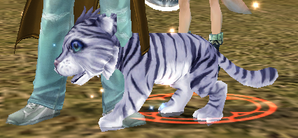 tigercubwhite.png