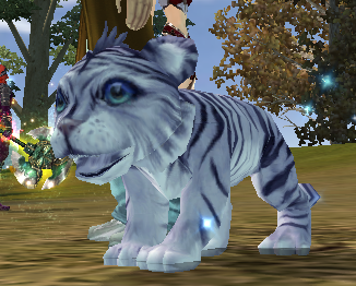 tigercubwhite2.png