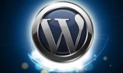 Wordpress 3.0 Problem and Solutions