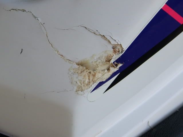 100_8245.jpg