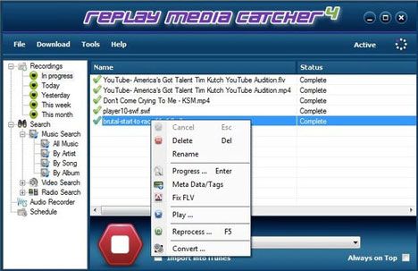 repley media catcher