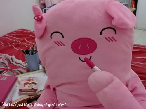 pig make up pig make up