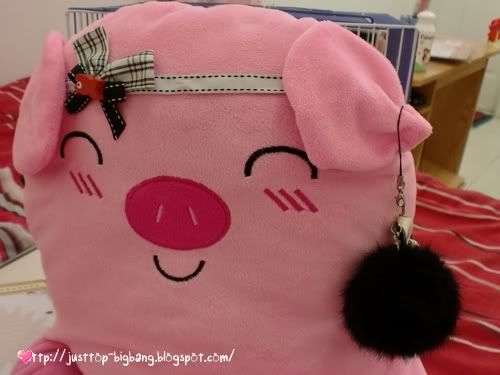 pig accesory Pig accesory