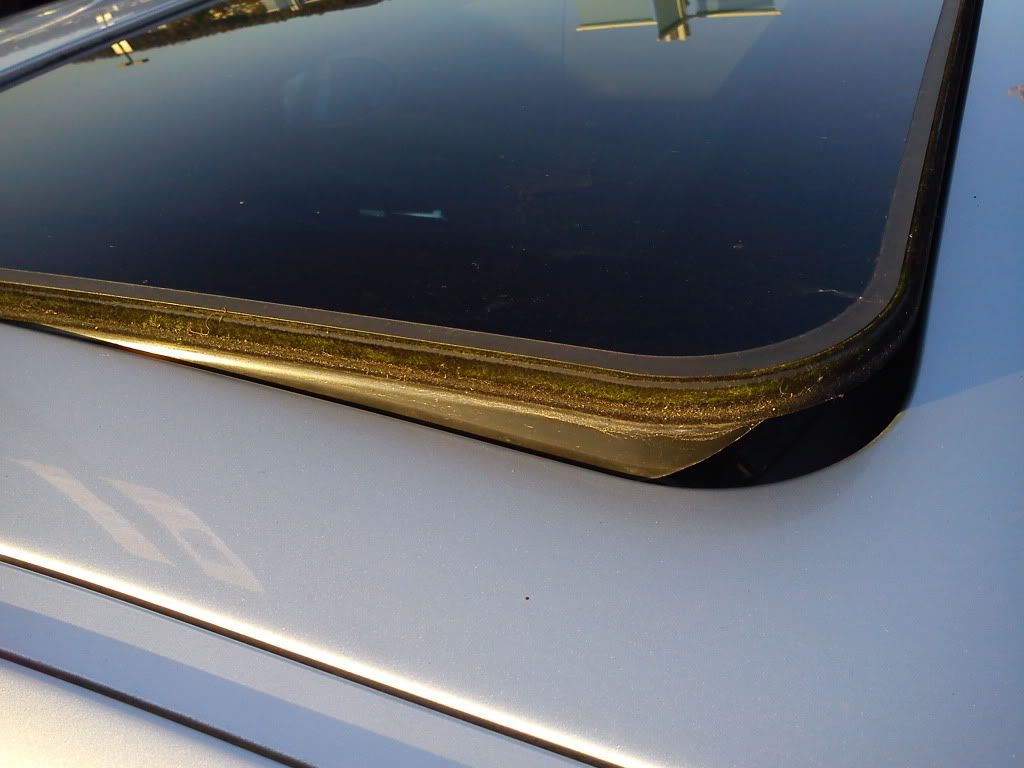 Moss stains on sunroof liner removal? E46Fanatics