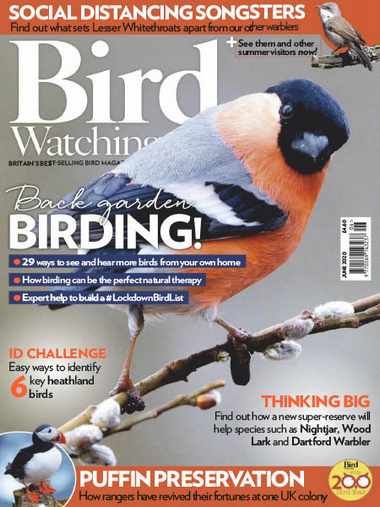 Bird Watching UK