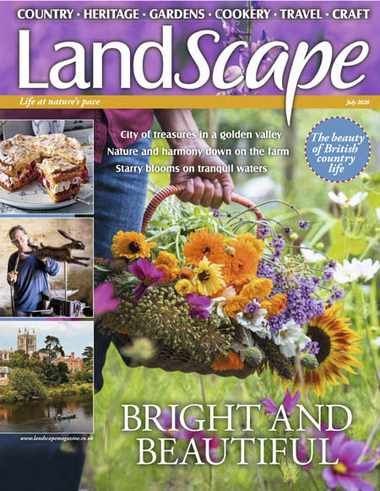 Landscape UK – July 2020