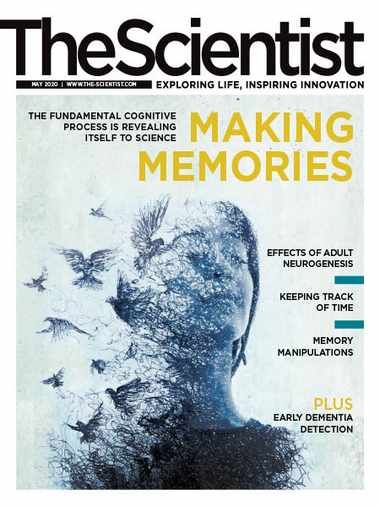 The Scientist – May 2020