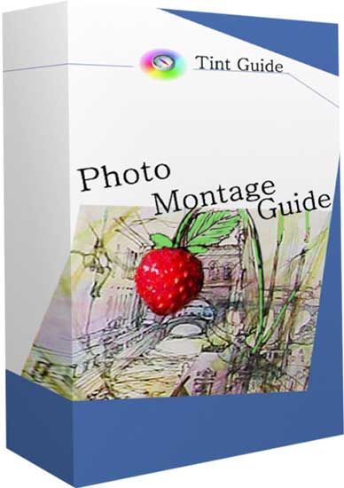 tint photo montage guide