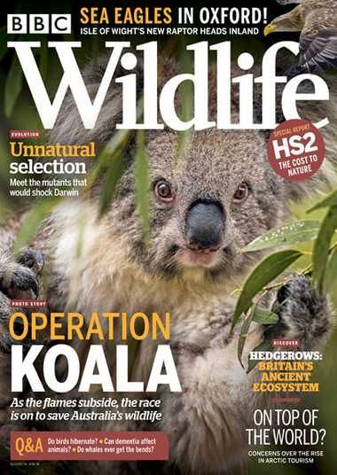 BBC Wildlife – April 2020