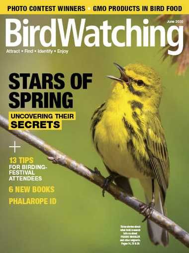 BirdWatching USA