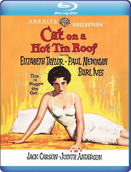 Cat on a Hot Tin Roof