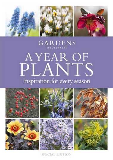 Gardens Illustrated