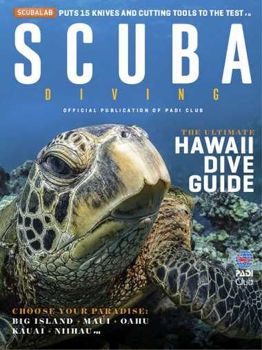 Scuba Diving – April 2020