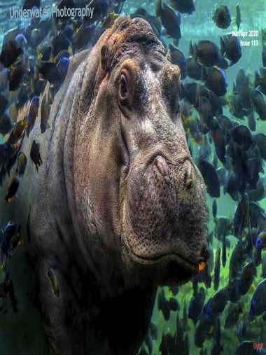 Underwater Photography