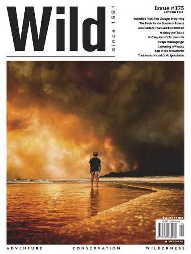 Wild – Issue 175, Autumn 2020