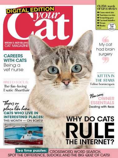 Your Cat – April 2020